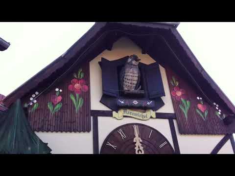 Backstage Kuckuck Film 